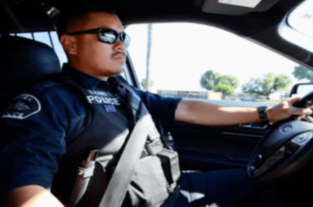 public safety cockpit